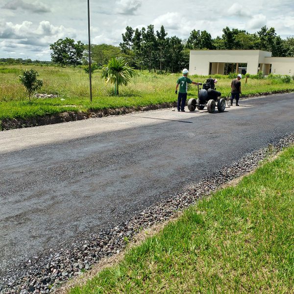 bosque_providencia_02