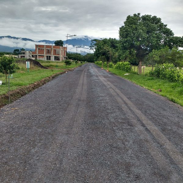 bosque_providencia_03