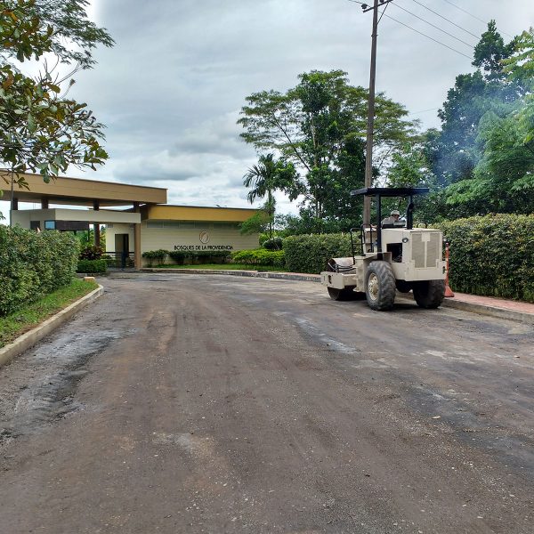 bosque_providencia_04