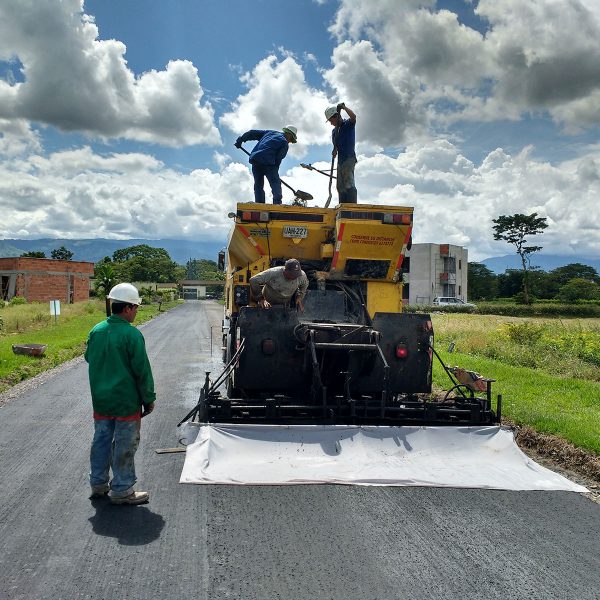 bosque_providencia_06