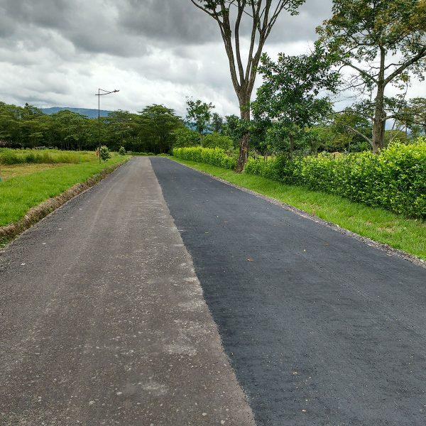 bosque_providencia_07