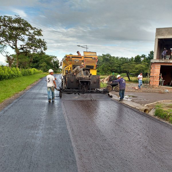 bosque_providencia_08