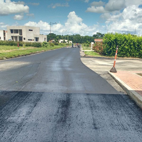 bosque_providencia_09