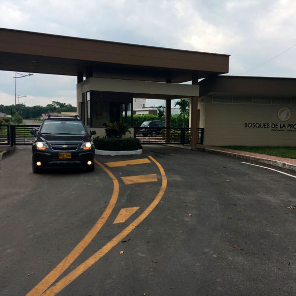 bosque_providencia_11